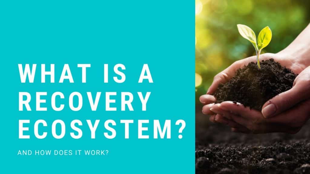 WHAT IS A RECOVERY ECOSYSTEM FINAL THUMBNAIL FOR HOME PAGE