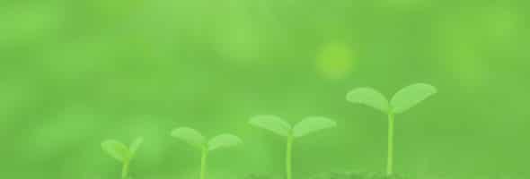 The Recovery Ecosystem
