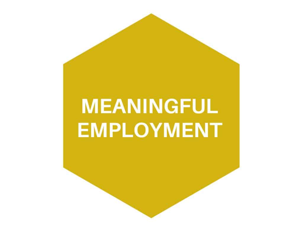 MEANINGFUL EMPLOYMENT SEXTAGON