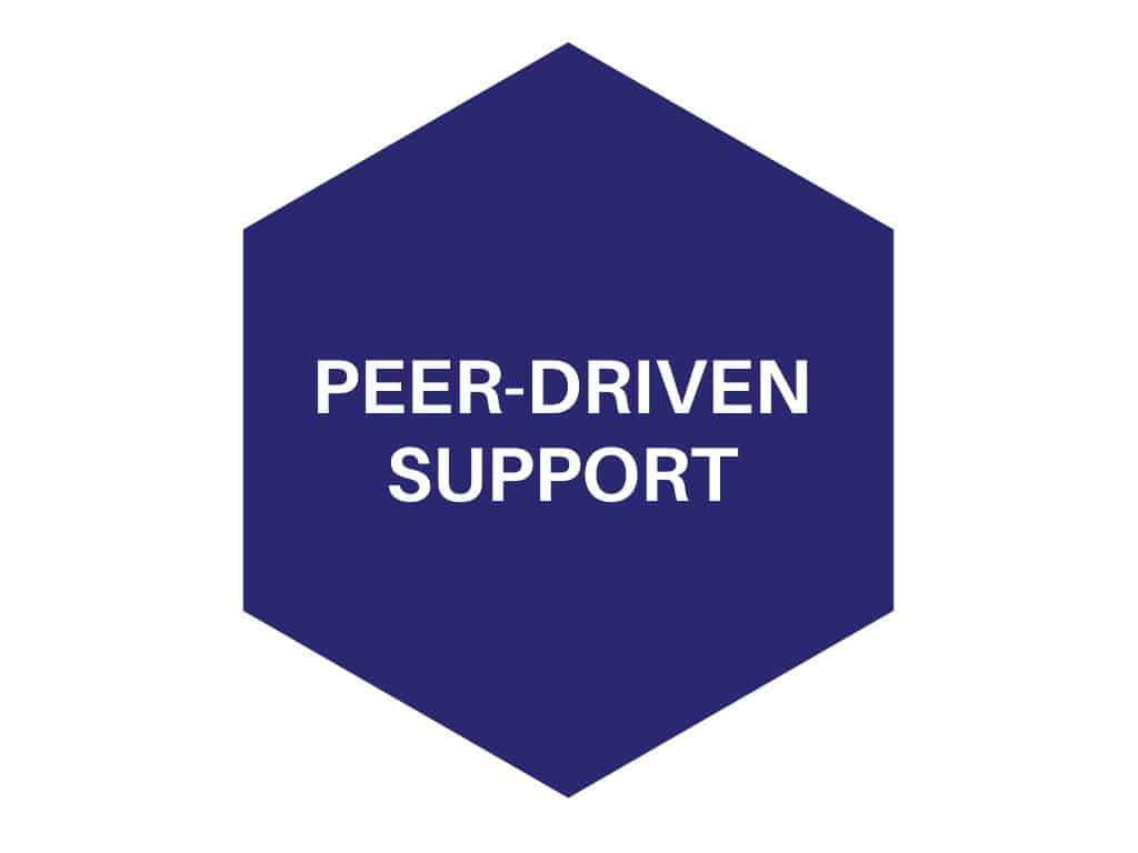 PEER DRIVEN SUPPORT SEXTAGON