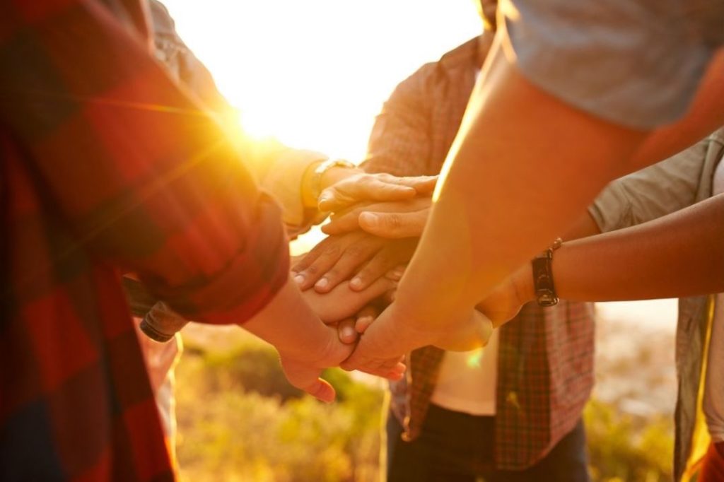 GAUZY HANDSHAKE