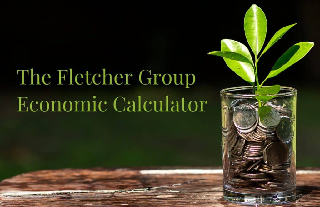 ECONOMIC CALCULATOR IMAGE