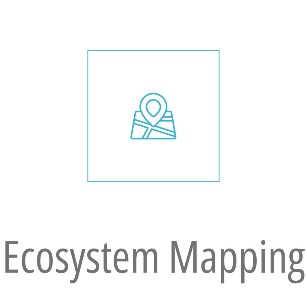 8 ECOSYSTEM MAPPING