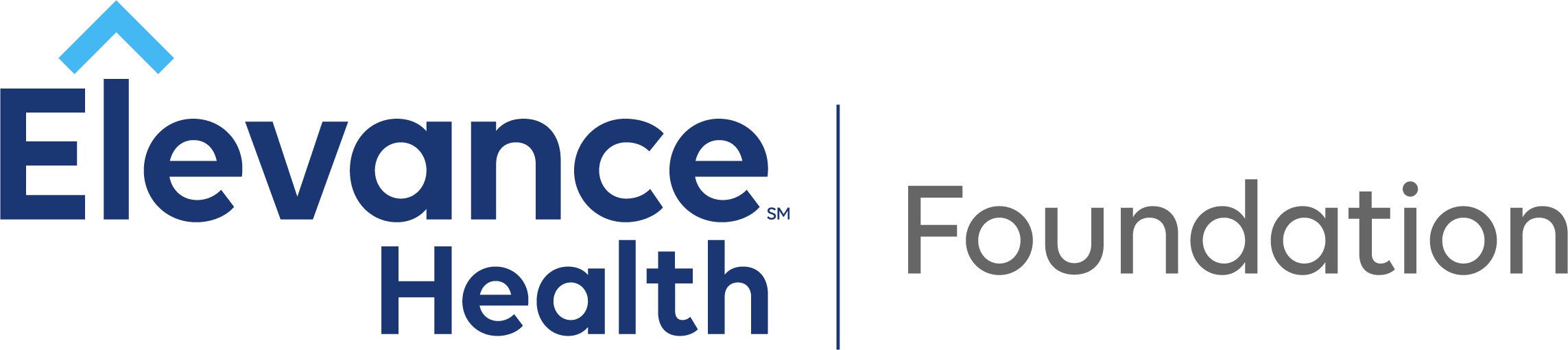 Elevance Health Institute Foundation horizontal color