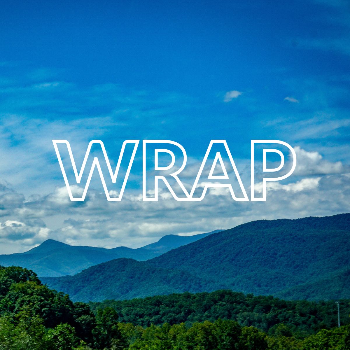 WRAP LOGO BOX FOR OUR CLIENTS PAGE